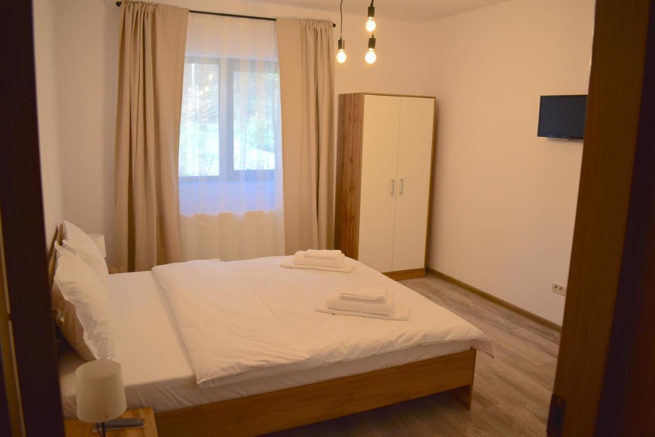 Cosy&Minimalistic Apartments - Haret Building Sinaia Zewnętrze zdjęcie