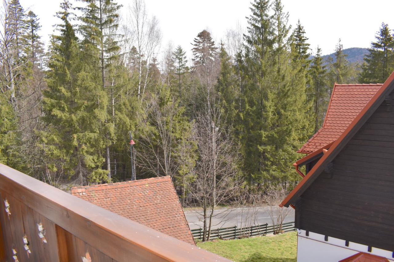 Cosy&Minimalistic Apartments - Haret Building Sinaia Zewnętrze zdjęcie