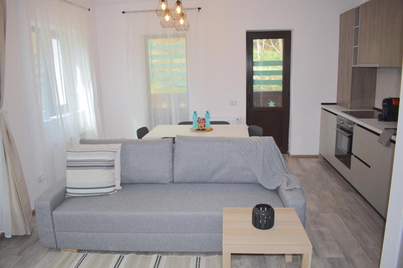 Cosy&Minimalistic Apartments - Haret Building Sinaia Zewnętrze zdjęcie